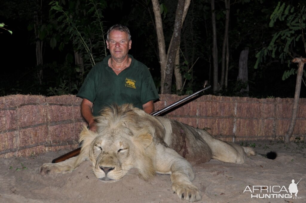 Hunting in the Selous Lion