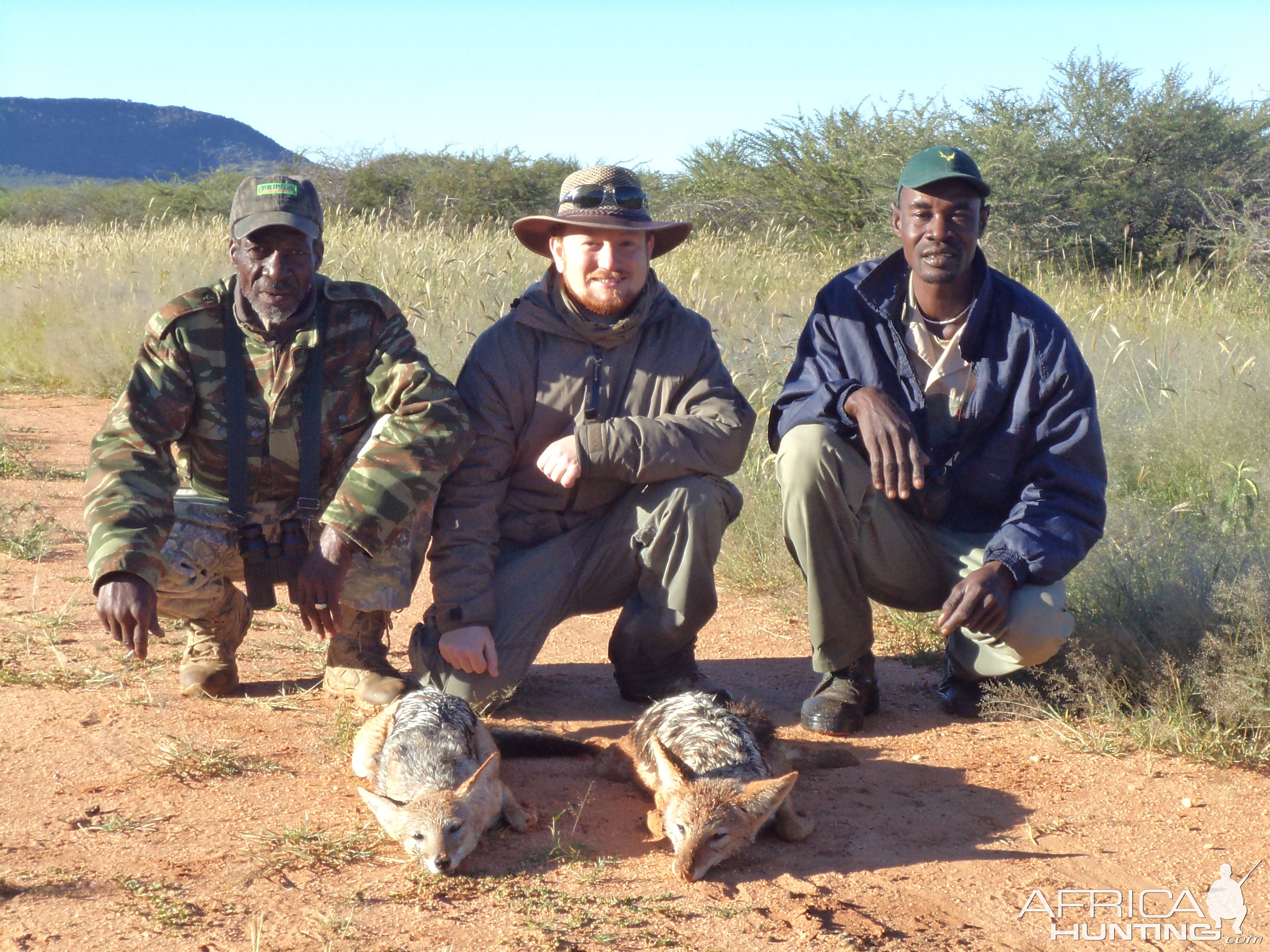 Hunting Jackal in Namibia