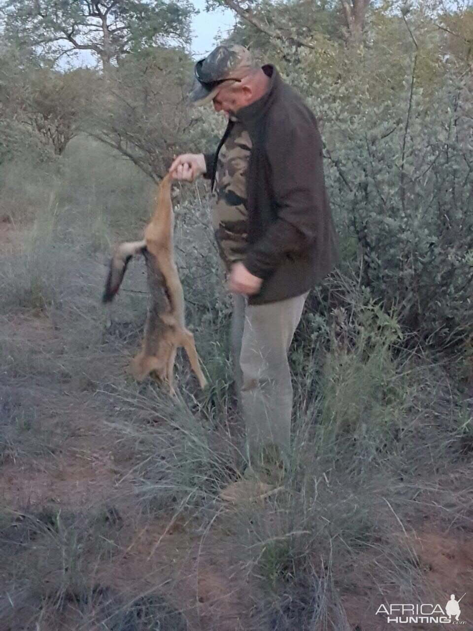 Hunting Jackal in South Africa