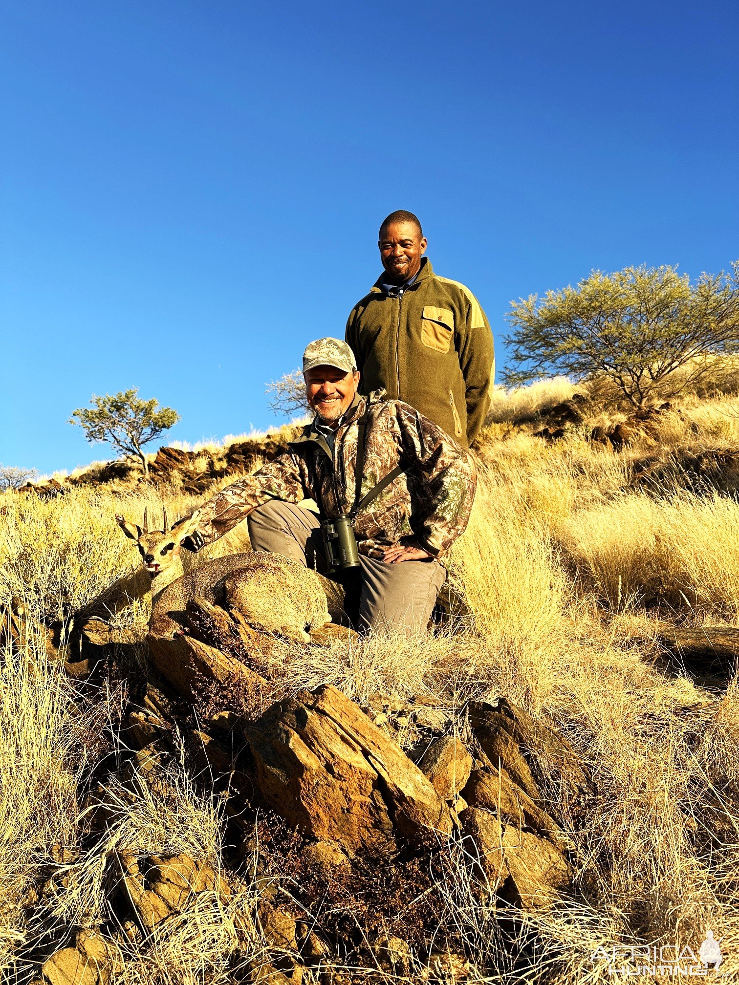 Hunting Klipspringer Namibia