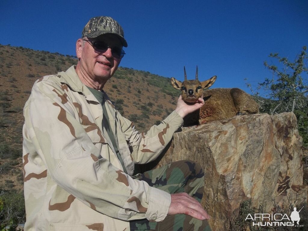 Hunting Klipspringer South Africa