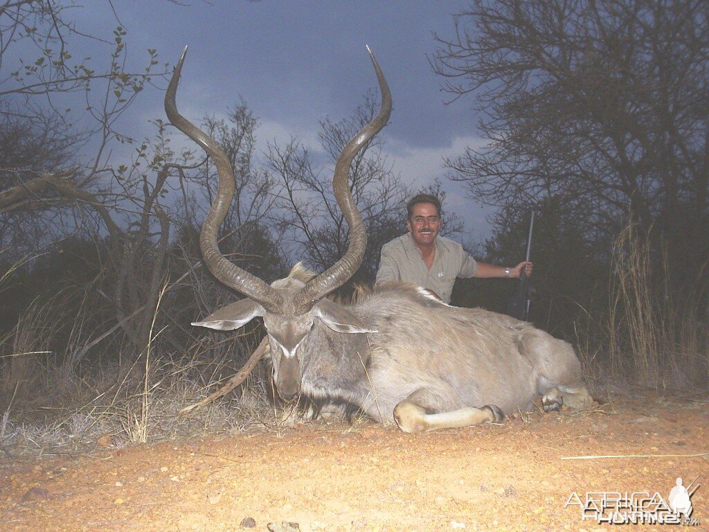 Hunting Kudu 57 inch