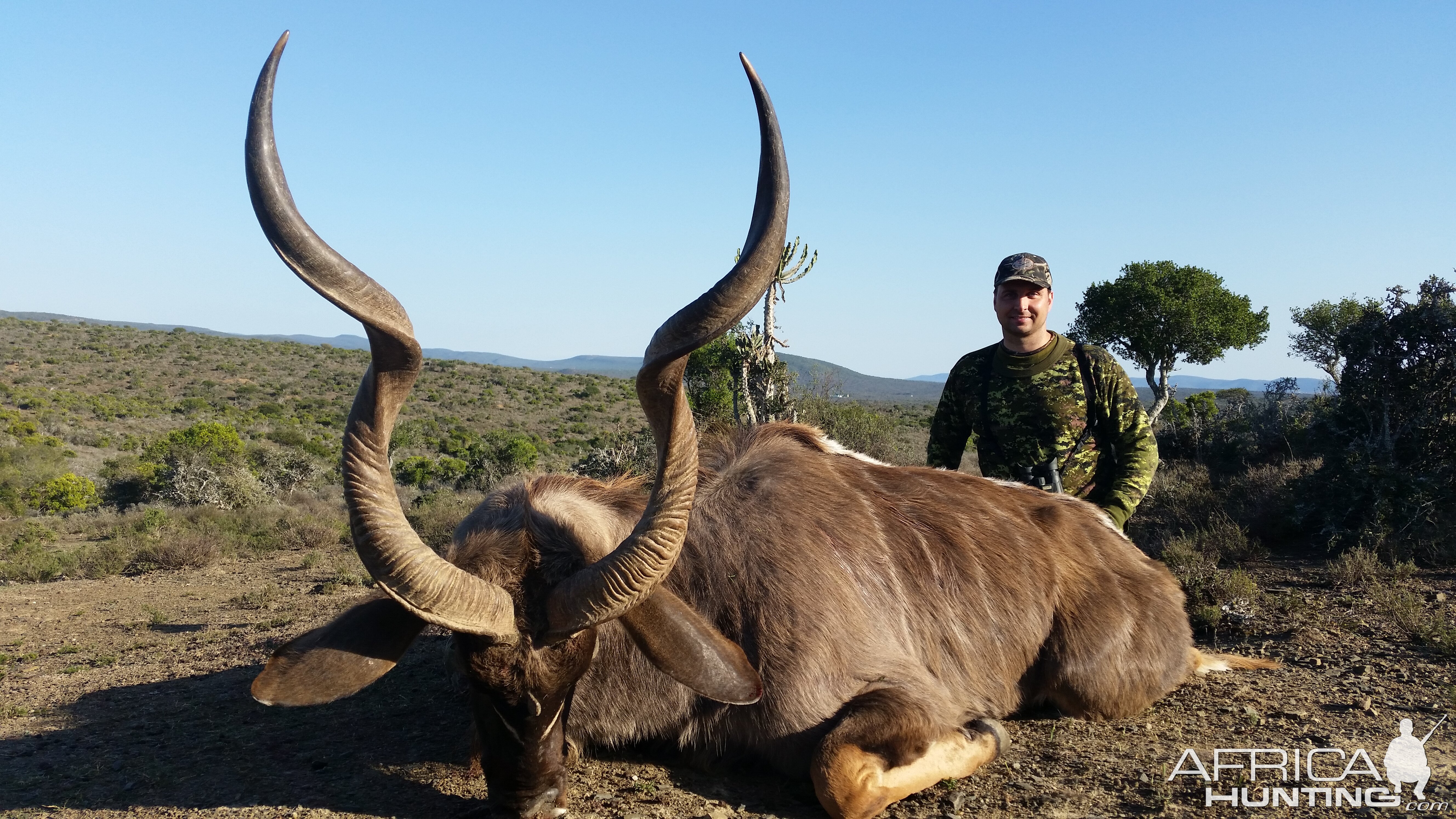 Hunting Kudu Africa