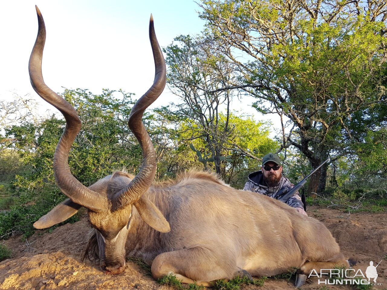 Hunting Kudu in South Africa