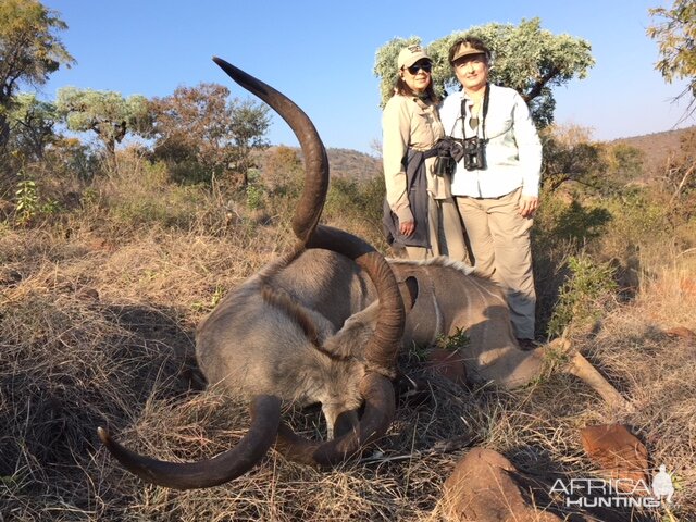 Hunting Kudu in South Africa