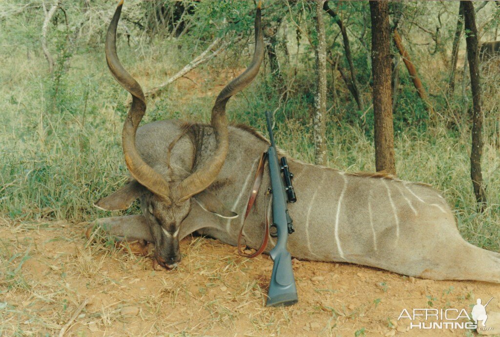 Hunting Kudu in South Africa