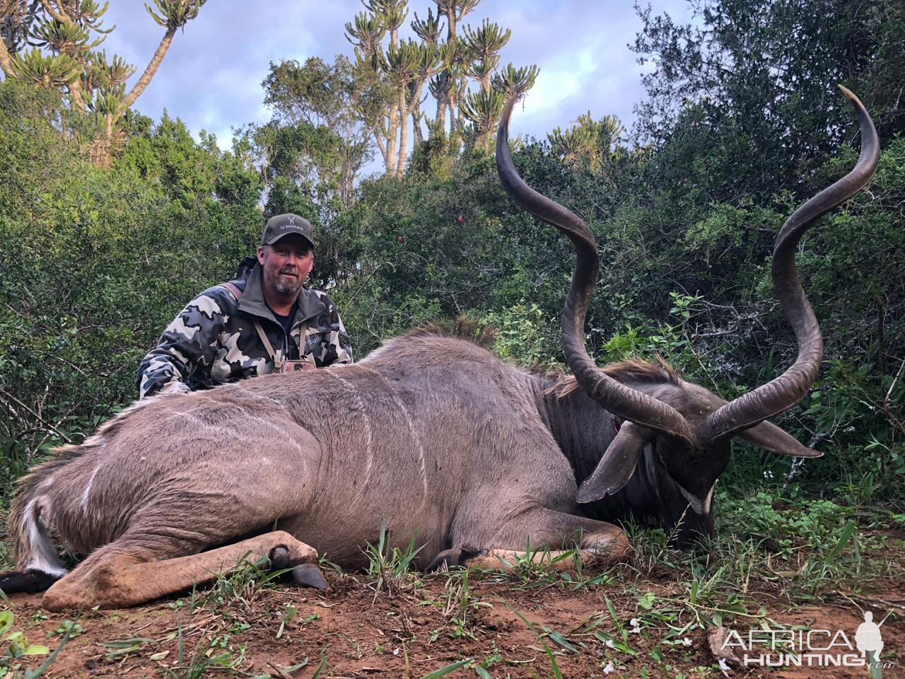 Hunting Kudu in South Africa