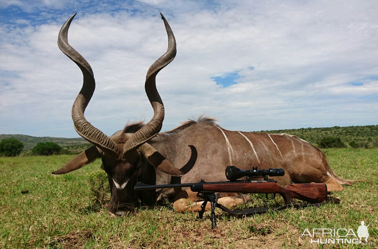 Hunting Kudu in South Africa