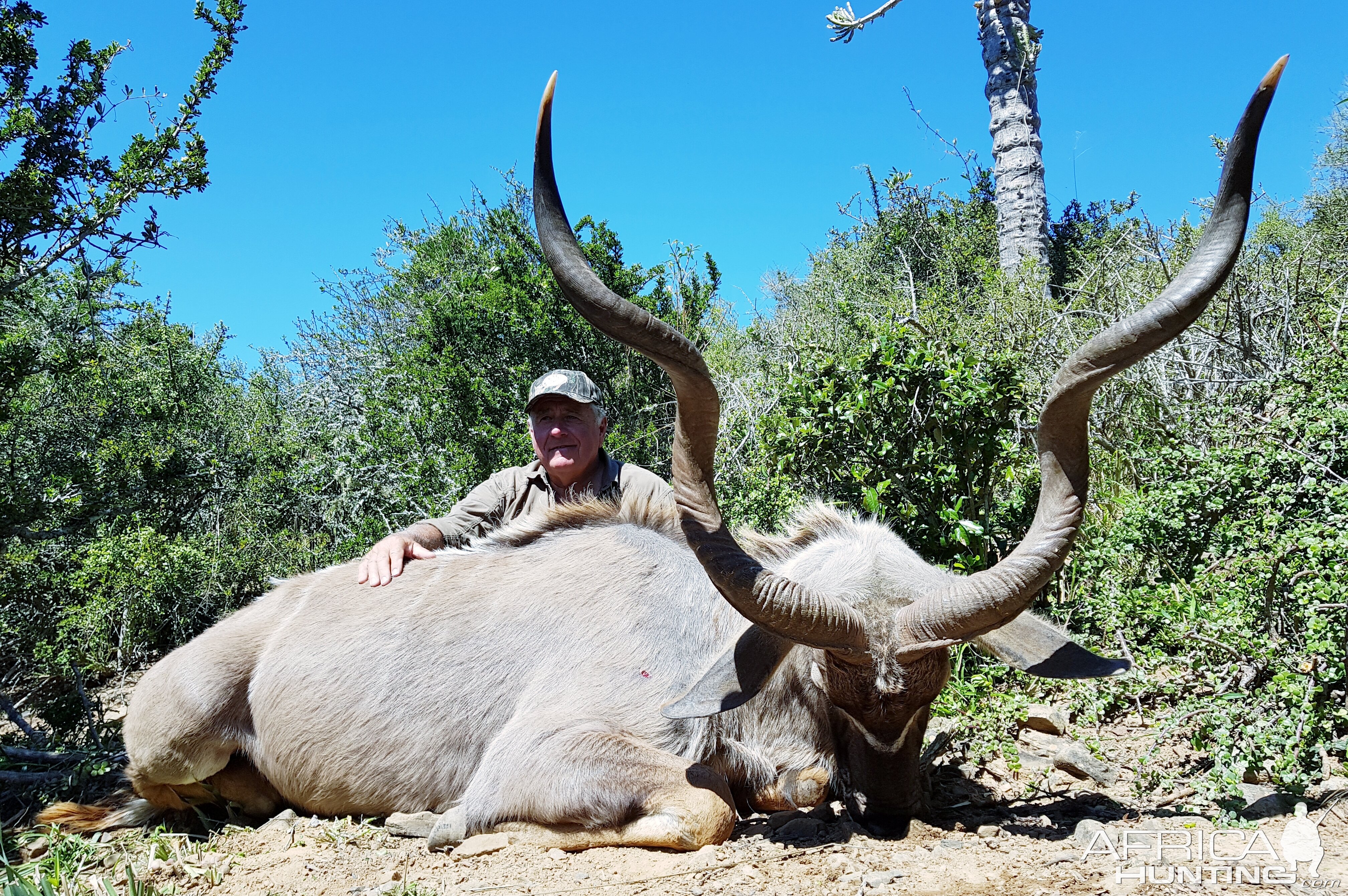 Hunting Kudu in South Africa