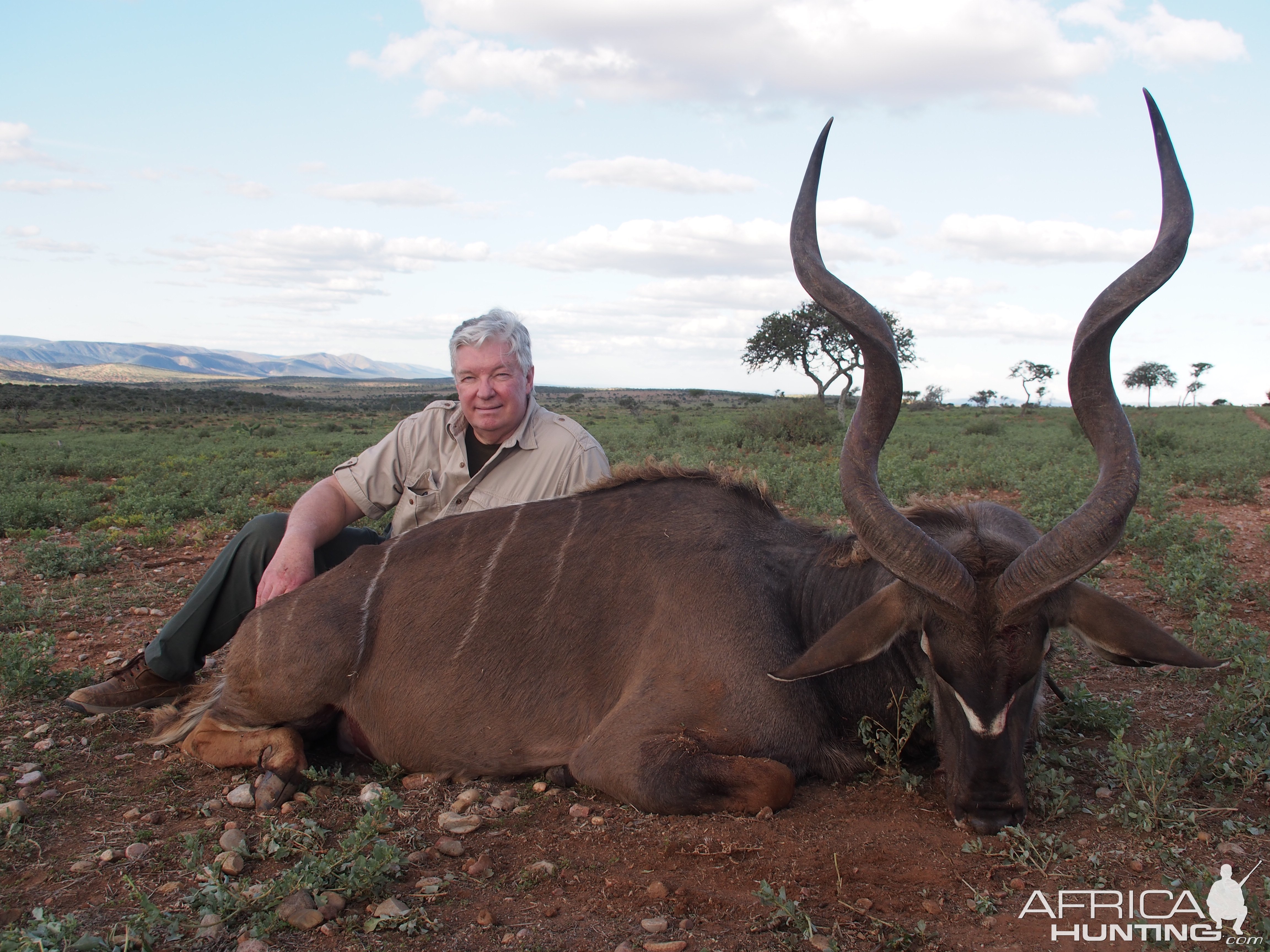 Hunting Kudu Karoo South Africa