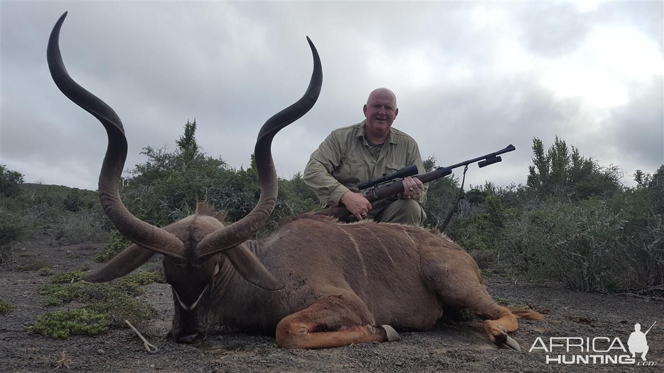 Hunting Kudu South Africa