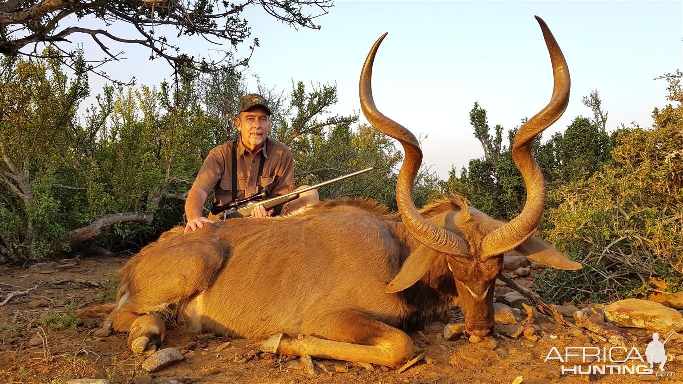 Hunting Kudu South Africa