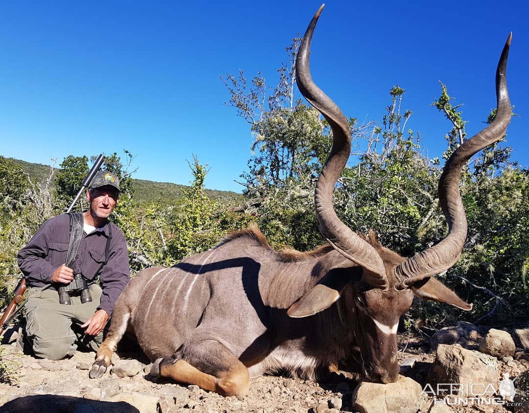 Hunting Kudu South Africa