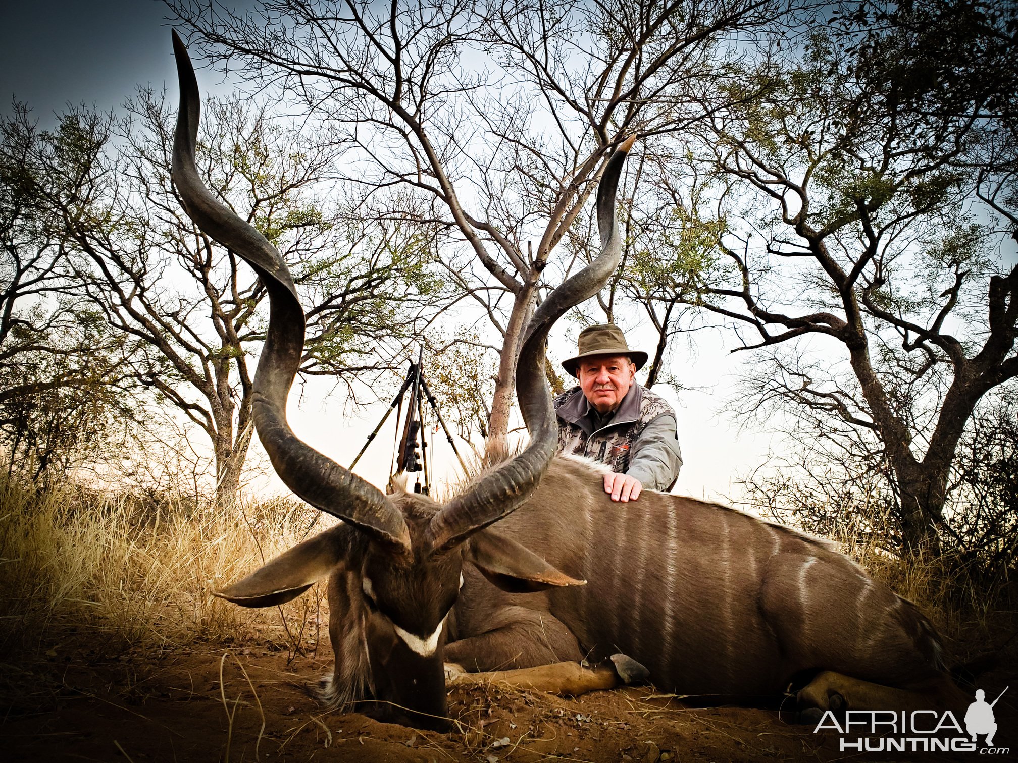 Hunting Kudu