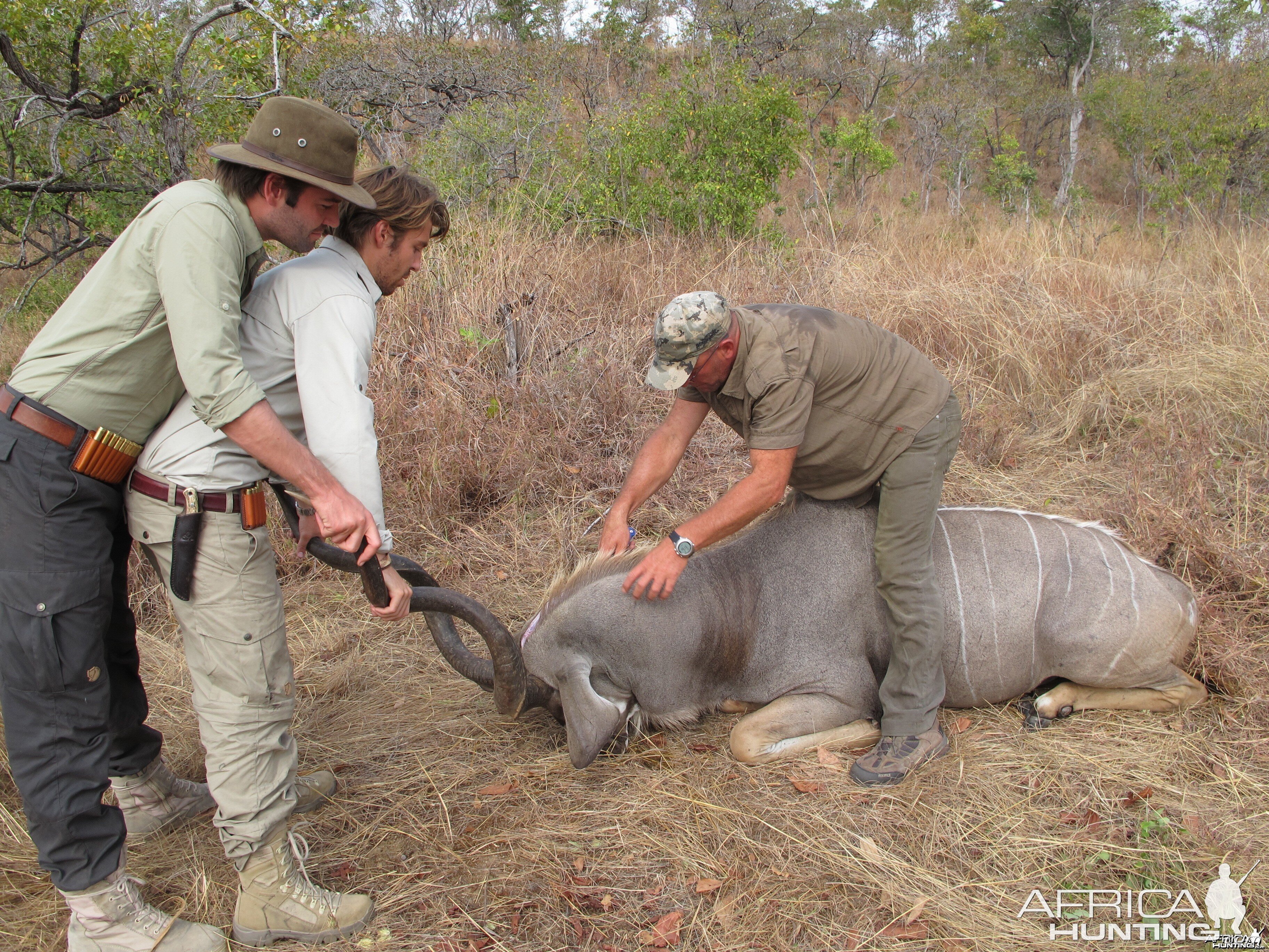 Hunting Kudu