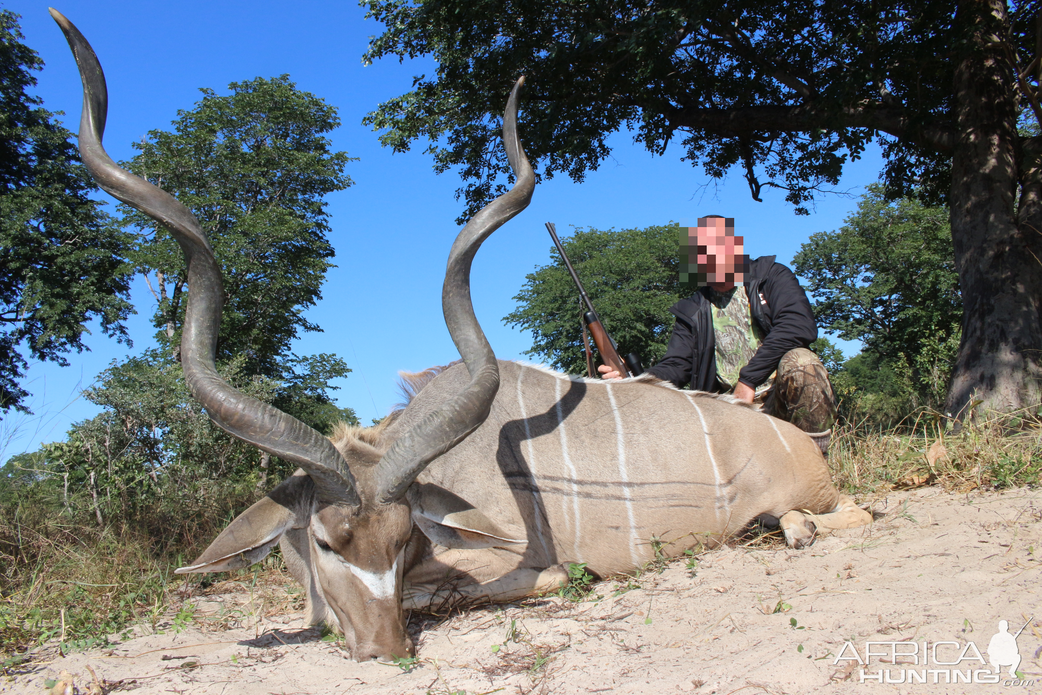 Hunting Kudu