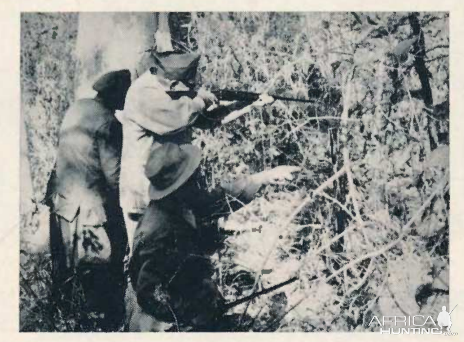 Hunting Leopard in India