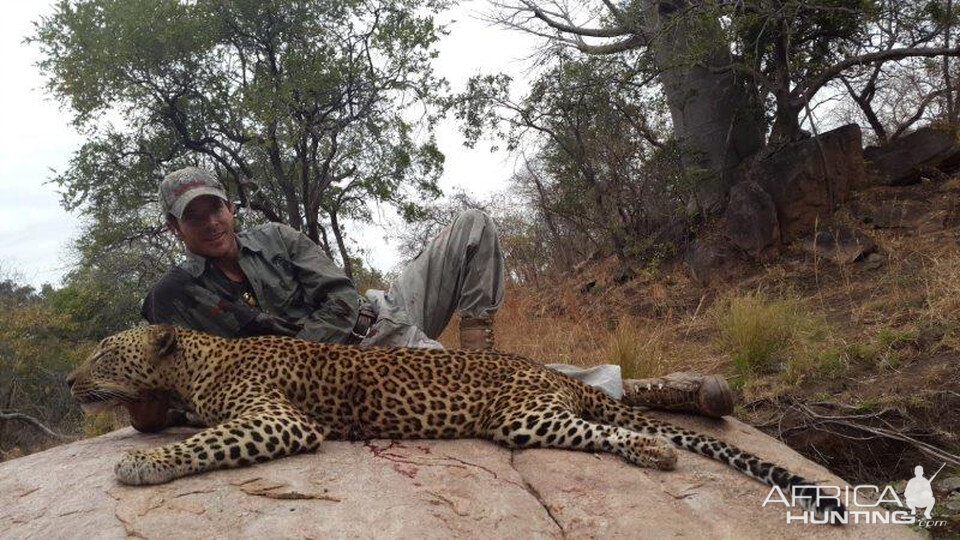 Hunting Leopard in Mozambique