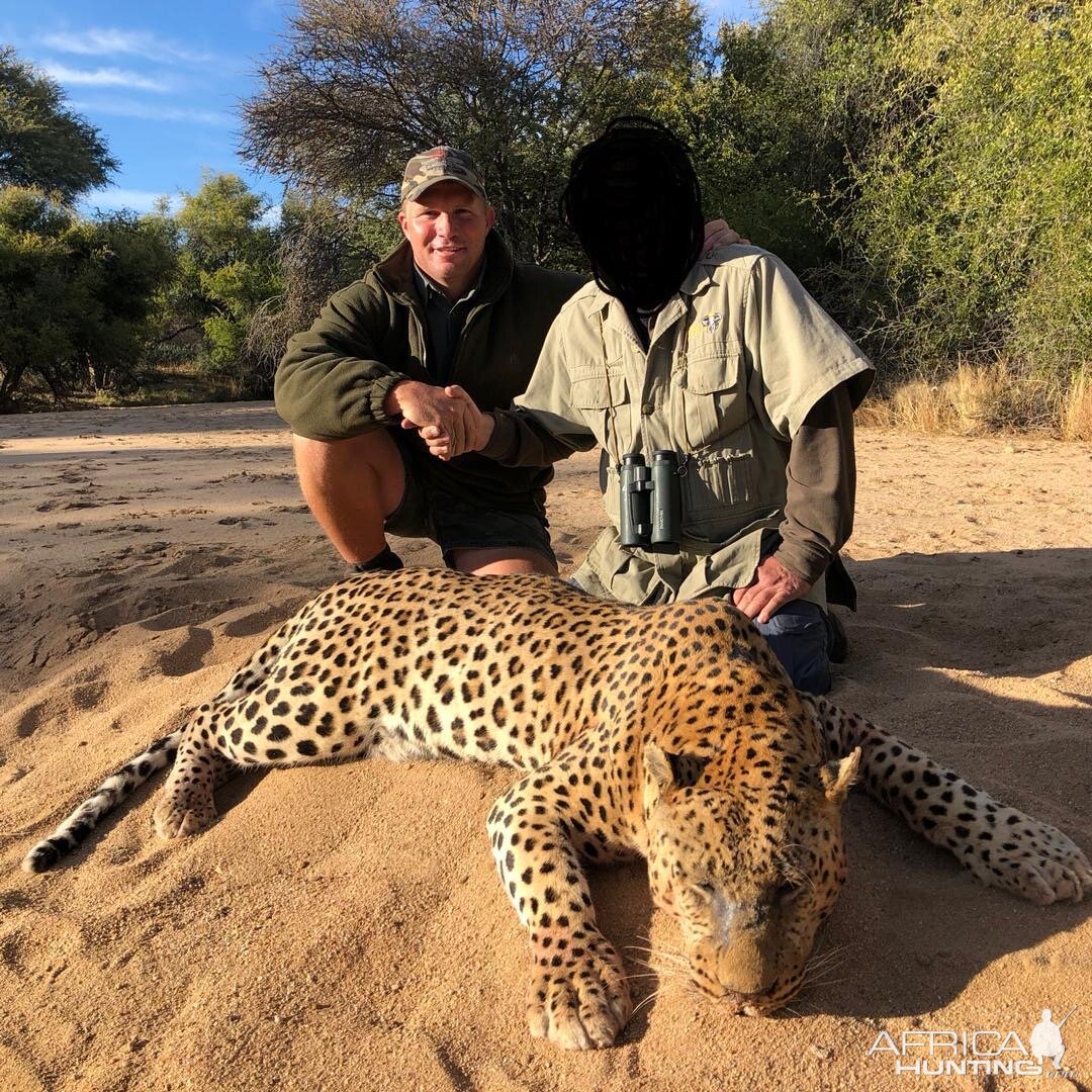 Hunting Leopard in Namibia