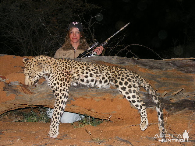 Hunting Leopard in Namibia