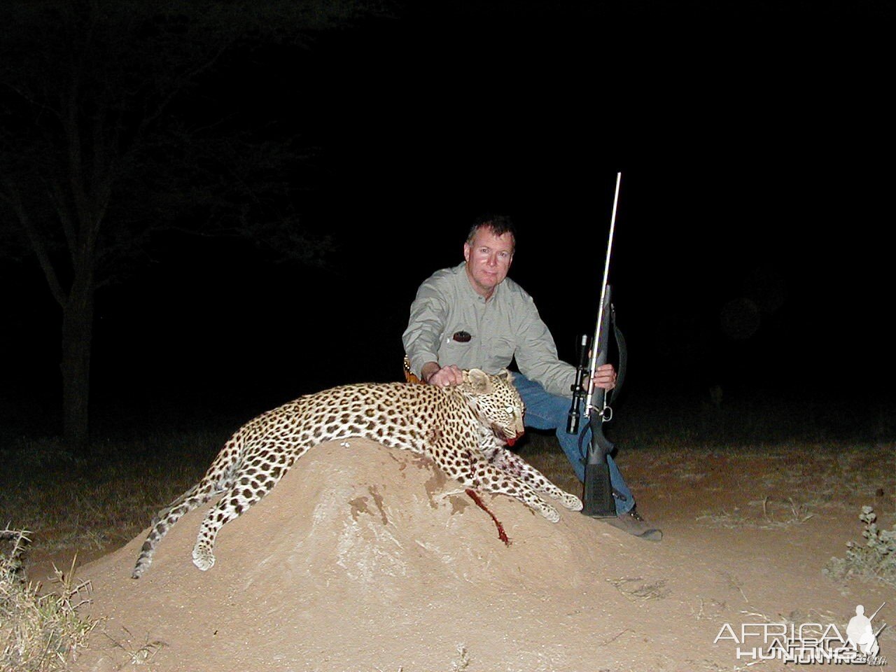 Hunting Leopard in Namibia