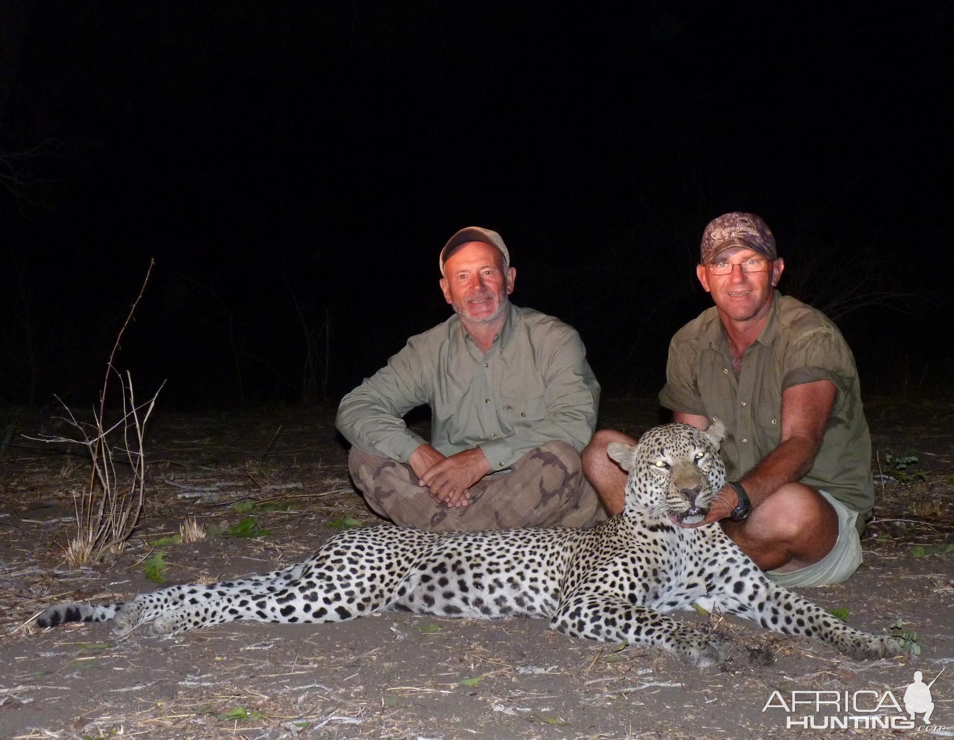 Hunting Leopard in Tanzania