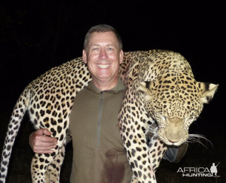 Hunting Leopard in Zimbabwe