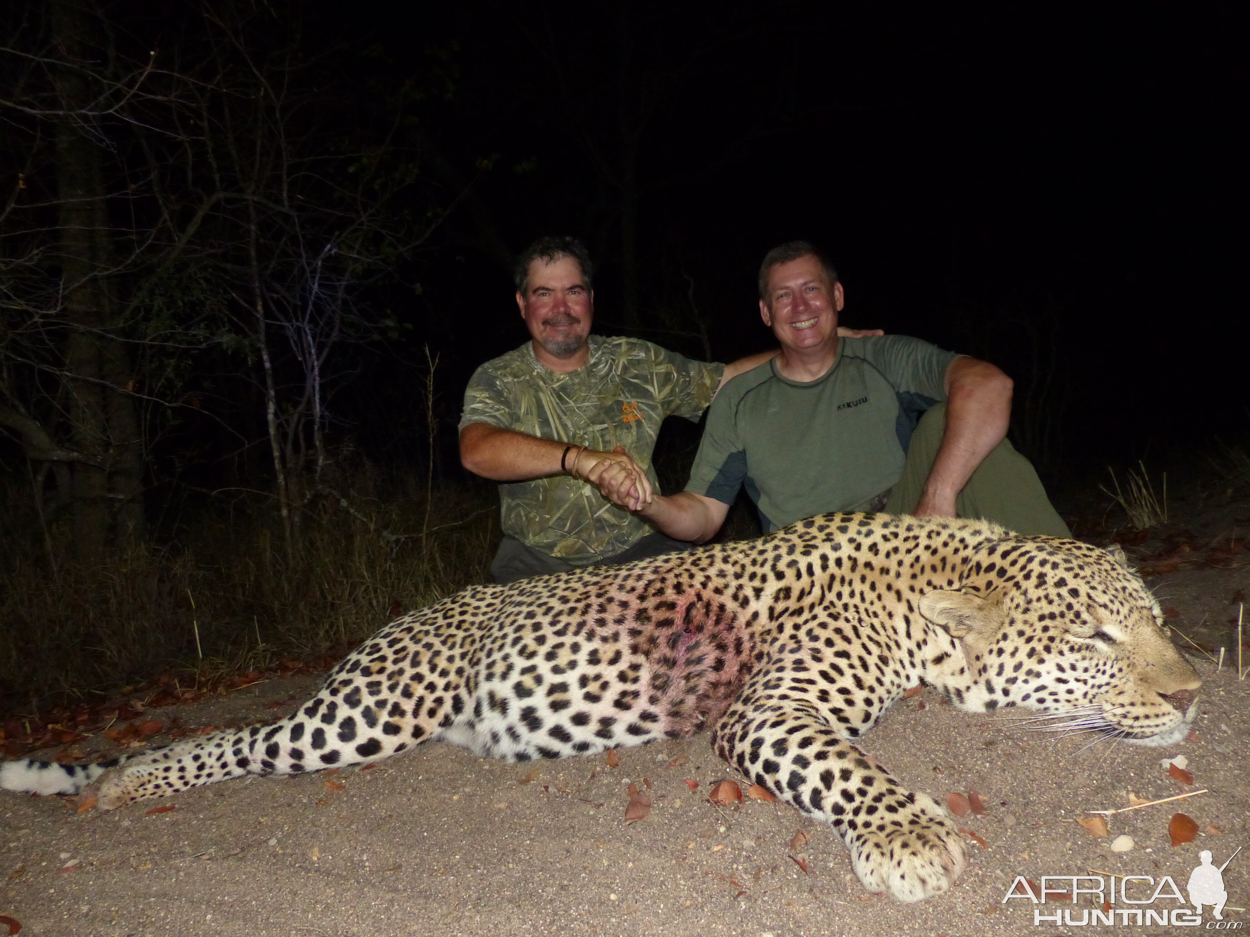 Hunting Leopard in Zimbabwe