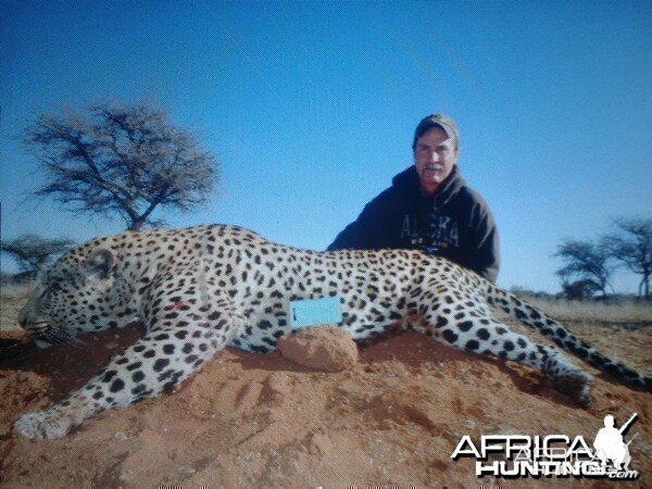 Hunting Leopard Westfalen Hunting Safaris in Namibia