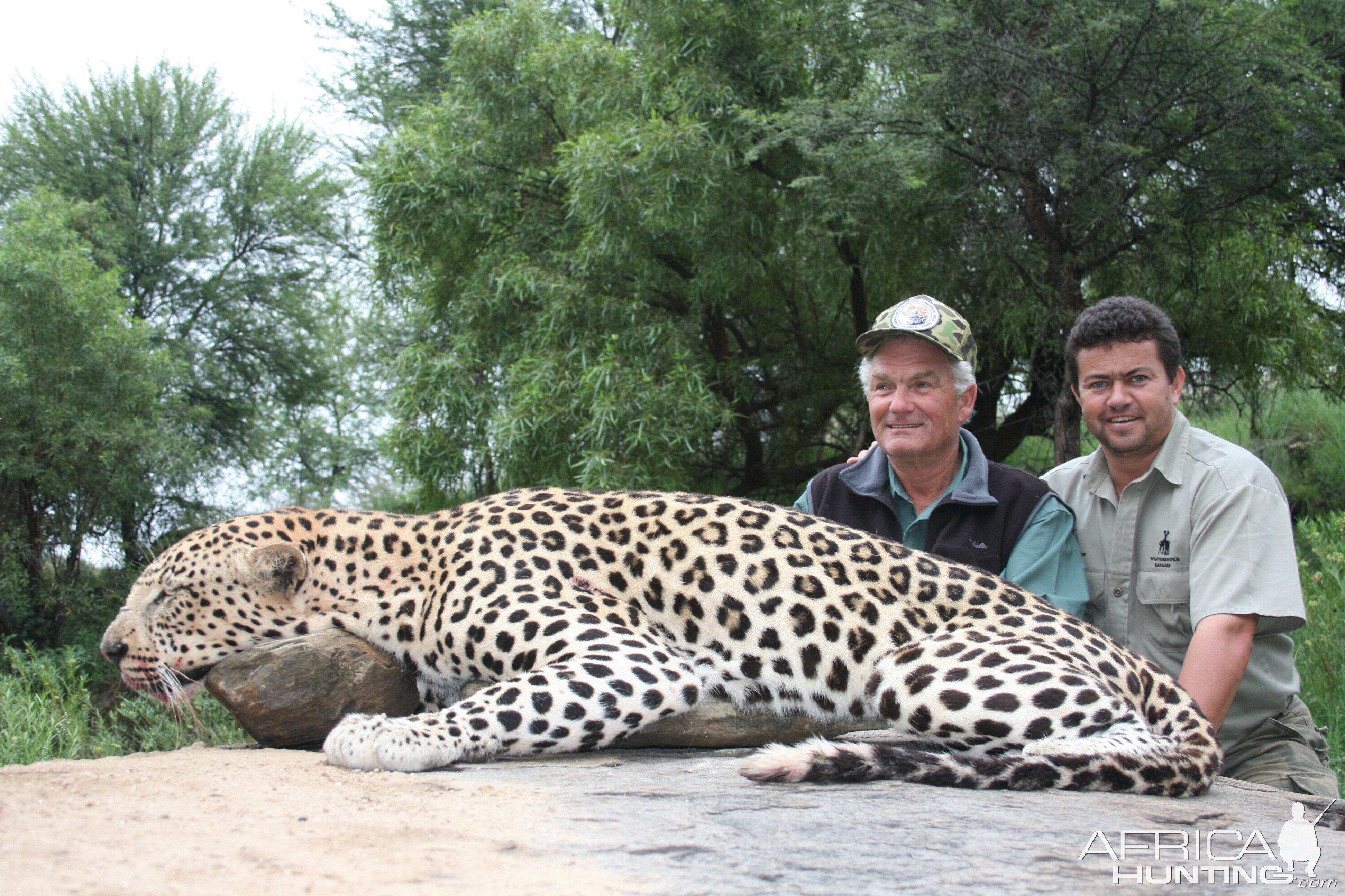 Hunting Leopard with Wintershoek Johnny Vivier Safaris in SA