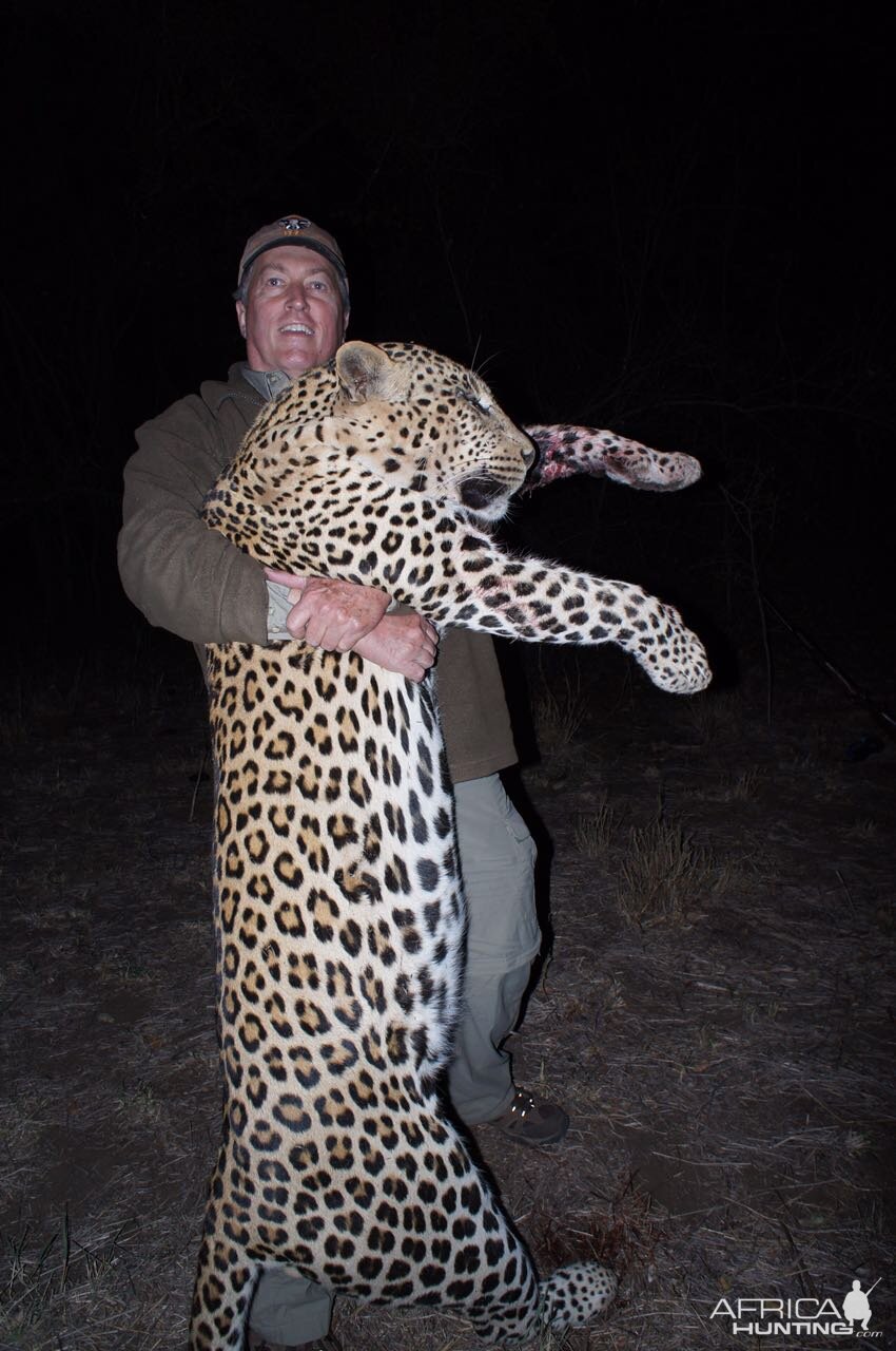 Hunting Leopard Zimbabwe