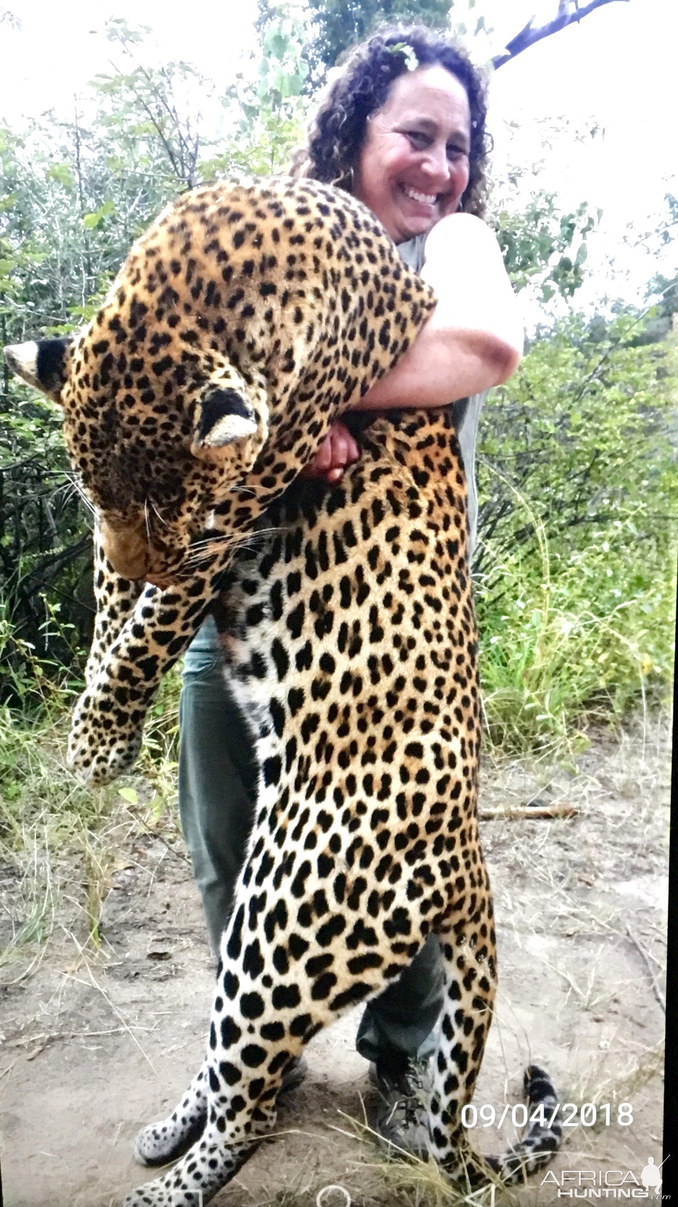 Hunting Leopard