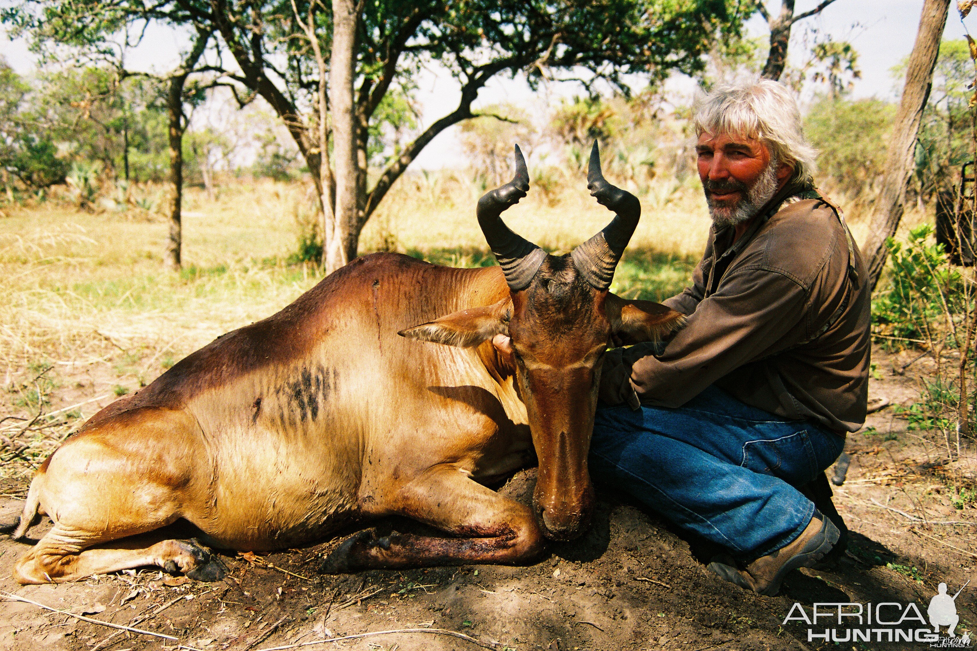 Hunting Lichtenstein Hartebeest with Wintershoek Johnny Vivier Safaris in S