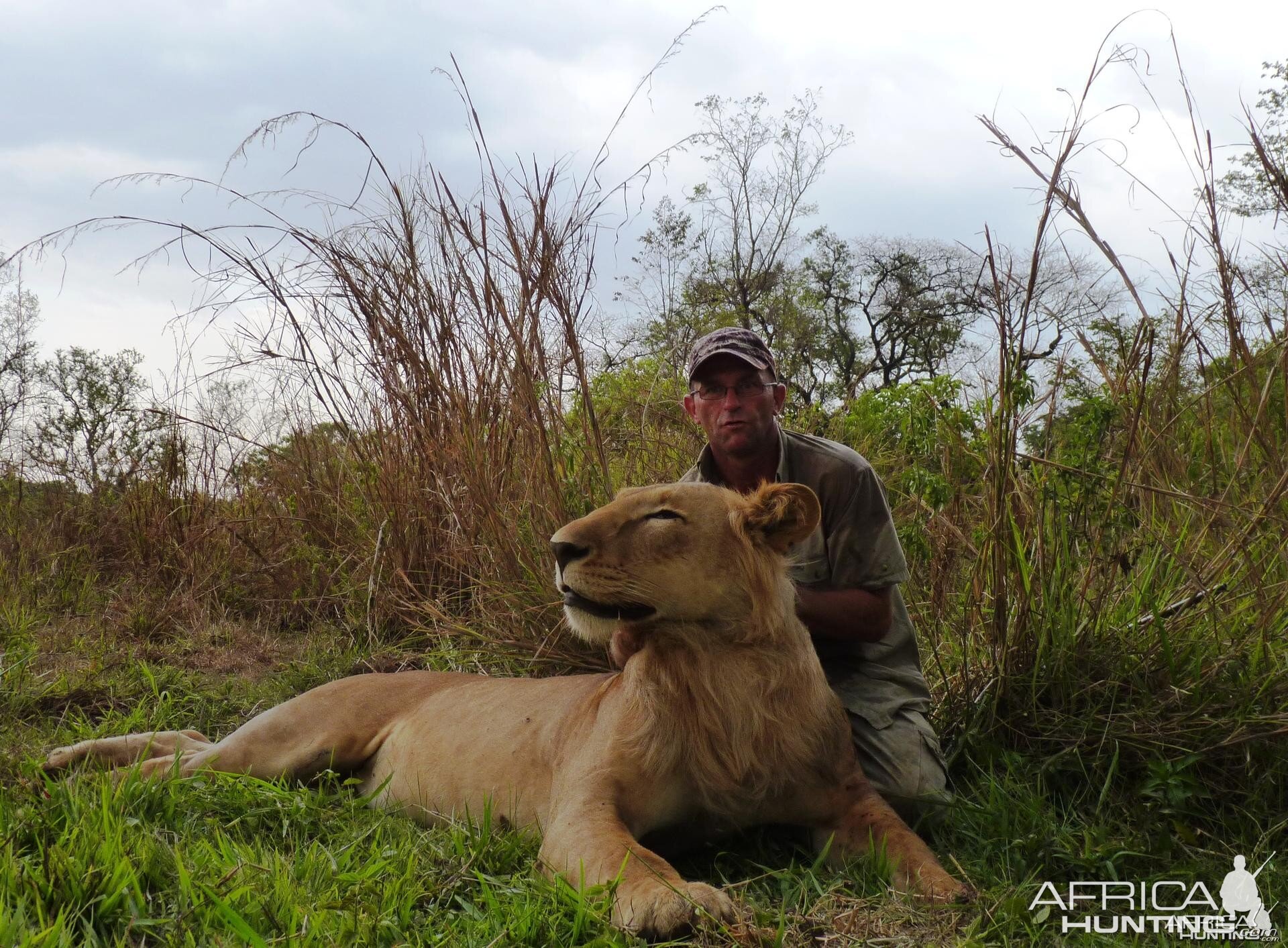 Hunting Lion in CAR