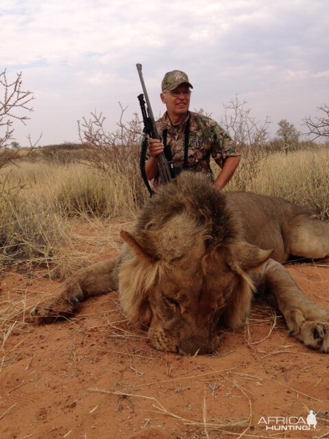 Hunting Lion in Namibia