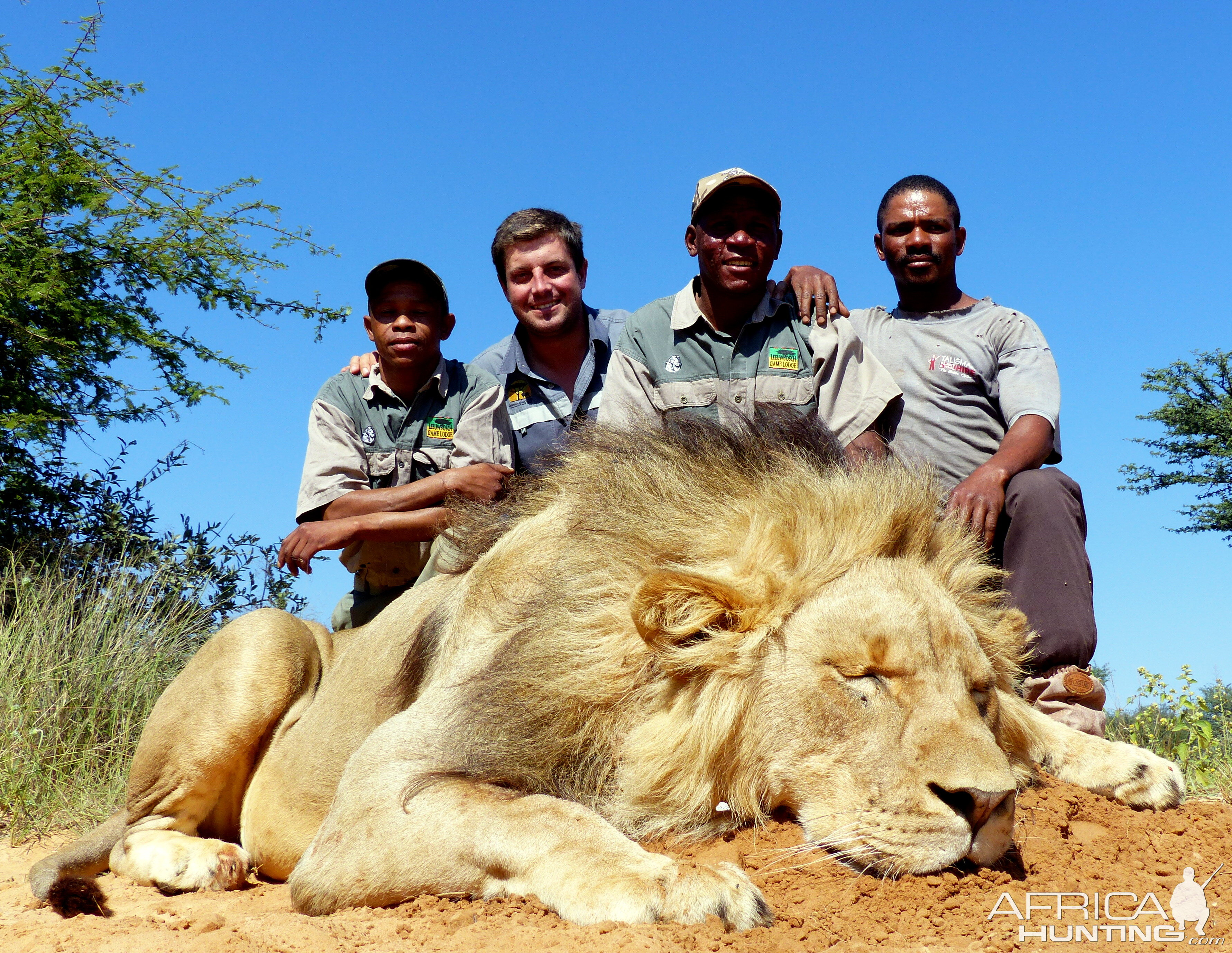 Hunting Lion in South Africa