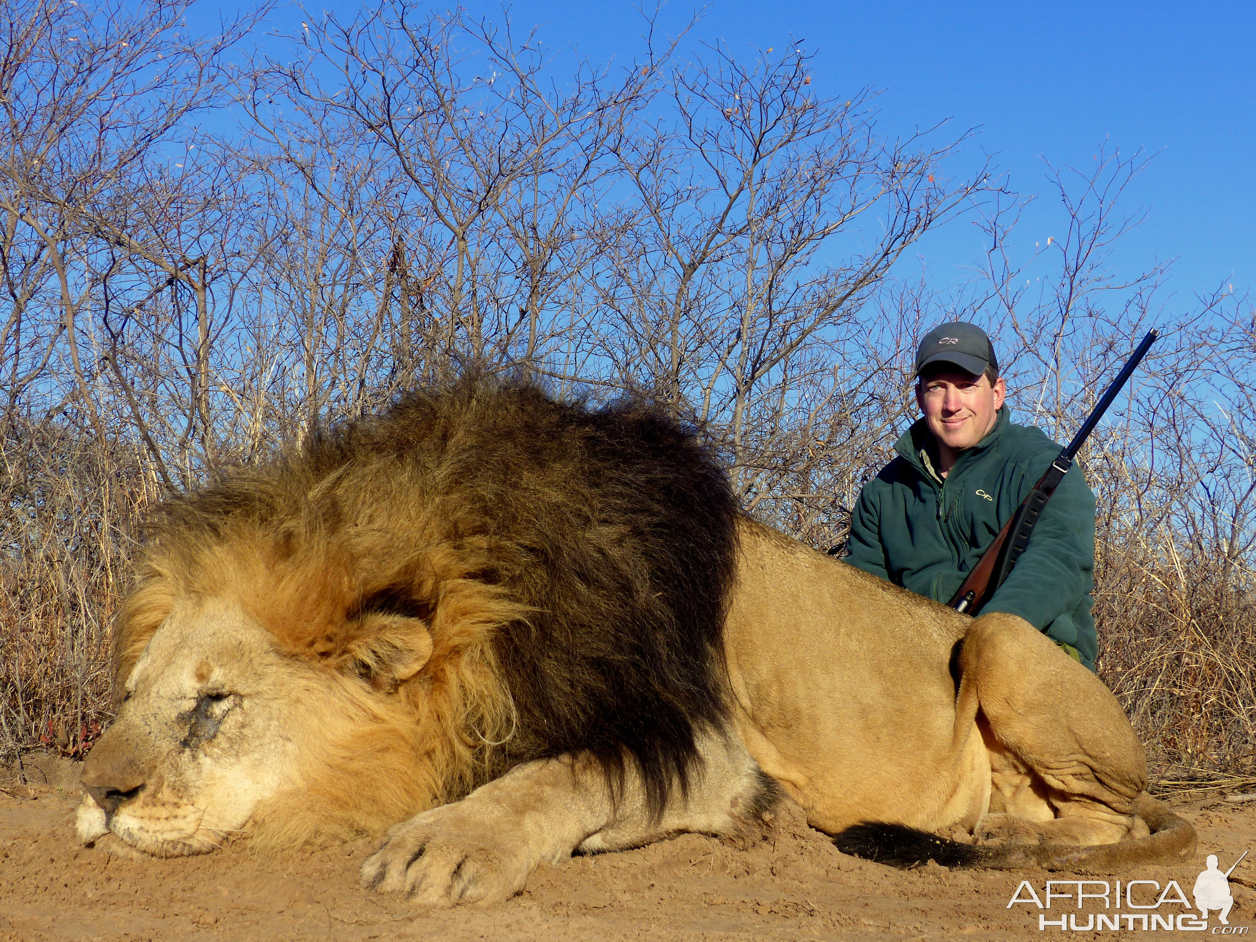 Hunting Lion in South Africa