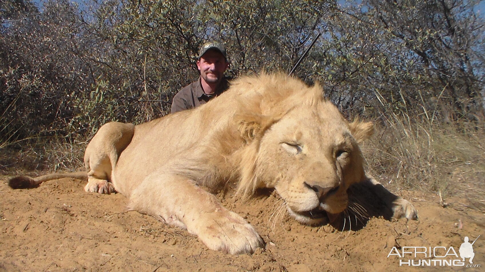 Hunting Lion in South Africa