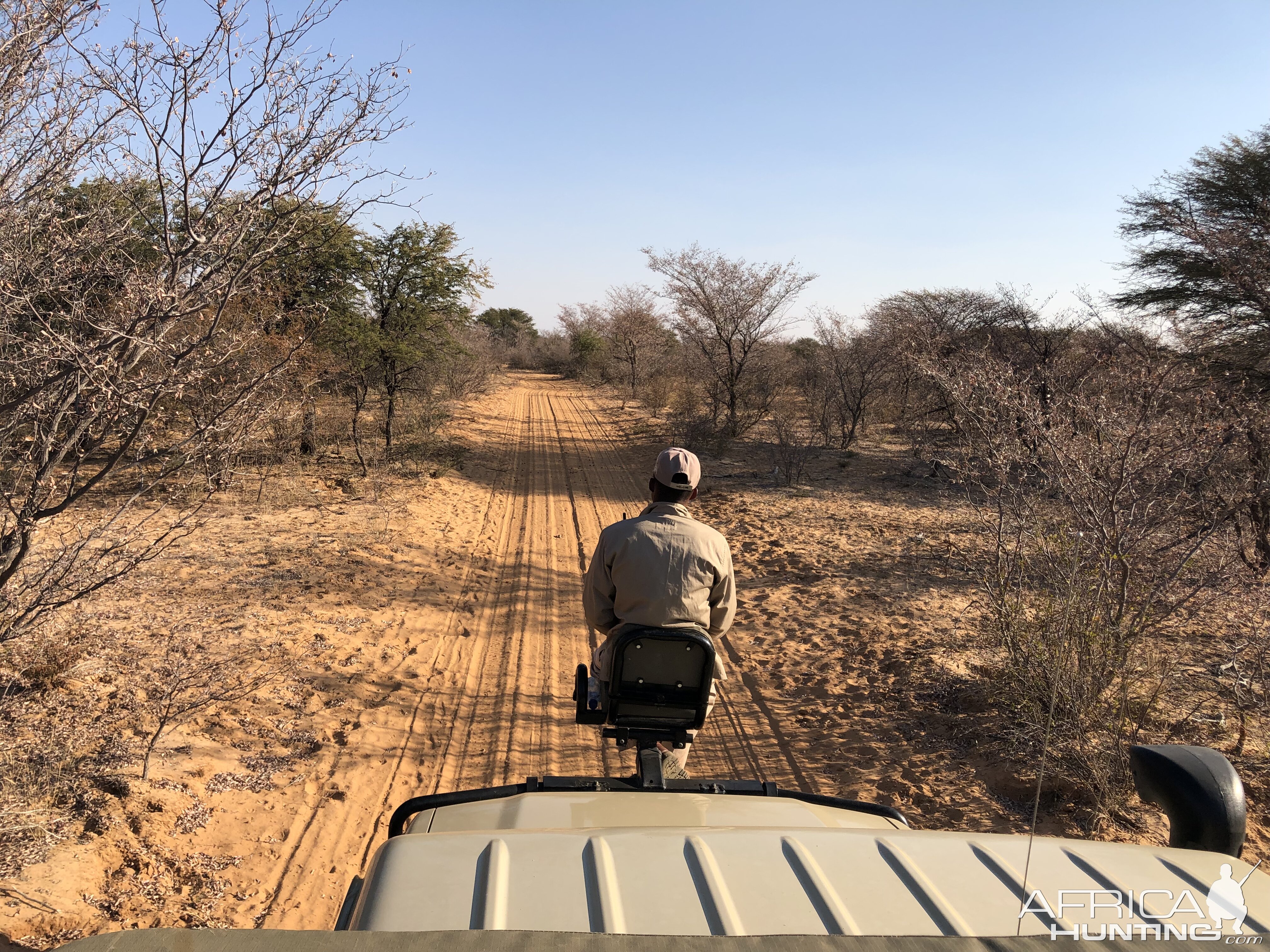 Hunting Lion in South Africa