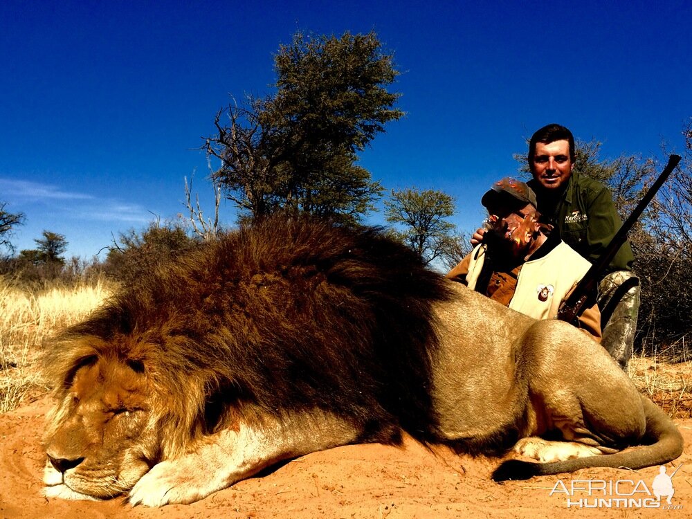 Hunting Lion South Africa