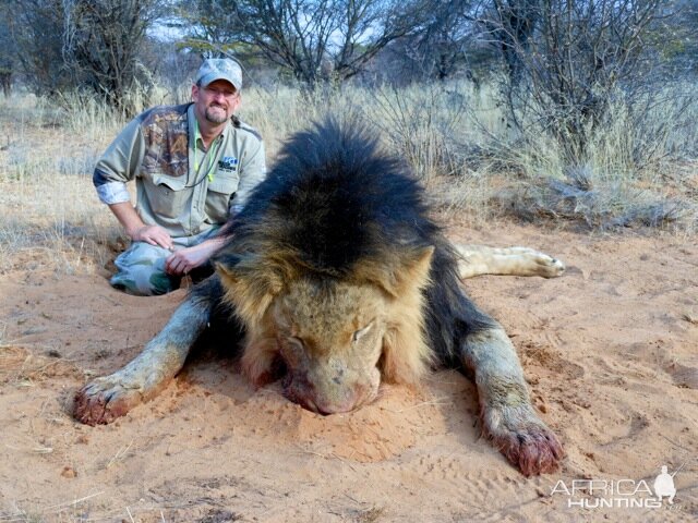 Hunting Lion | AfricaHunting.com