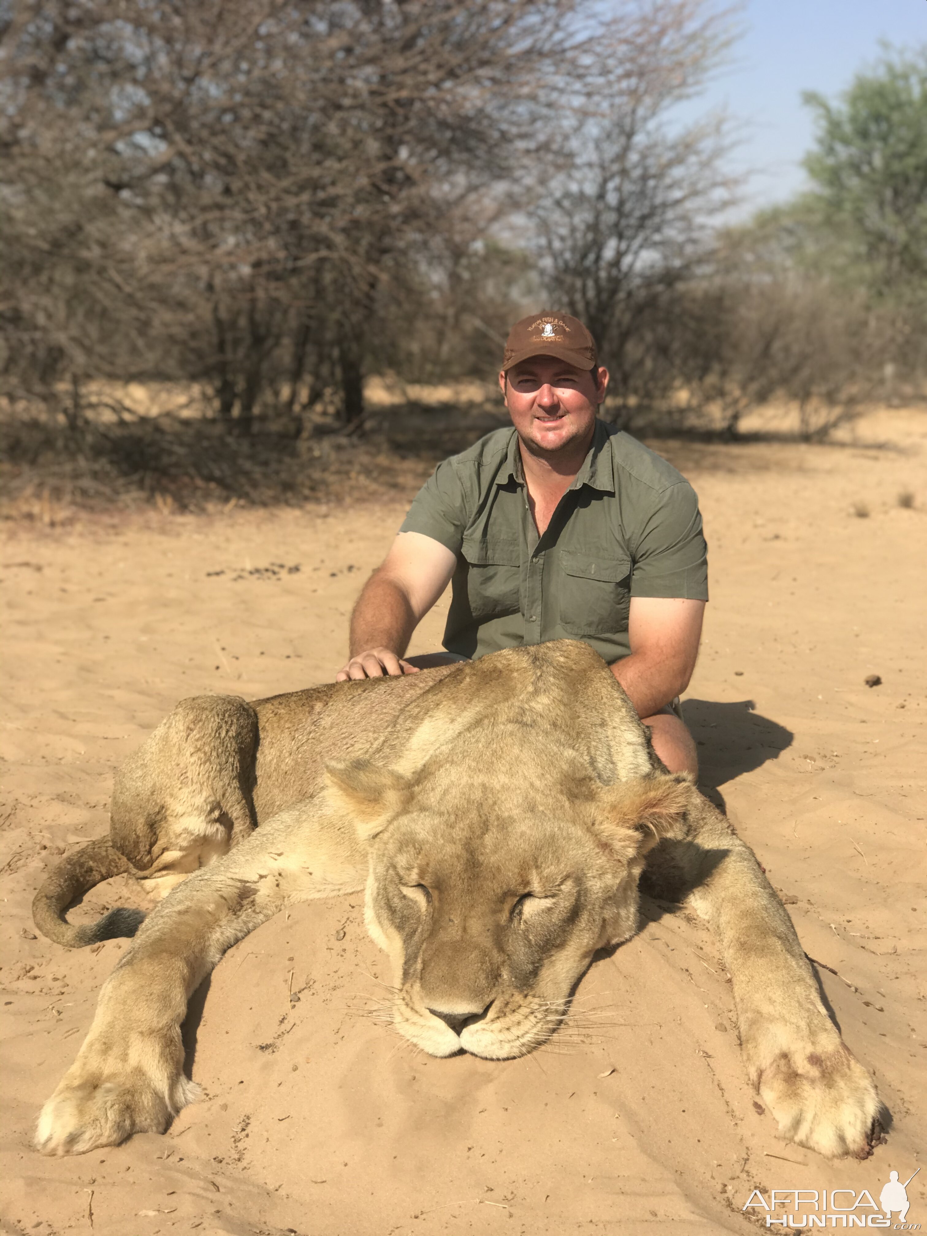 Hunting Lioness in South Africa