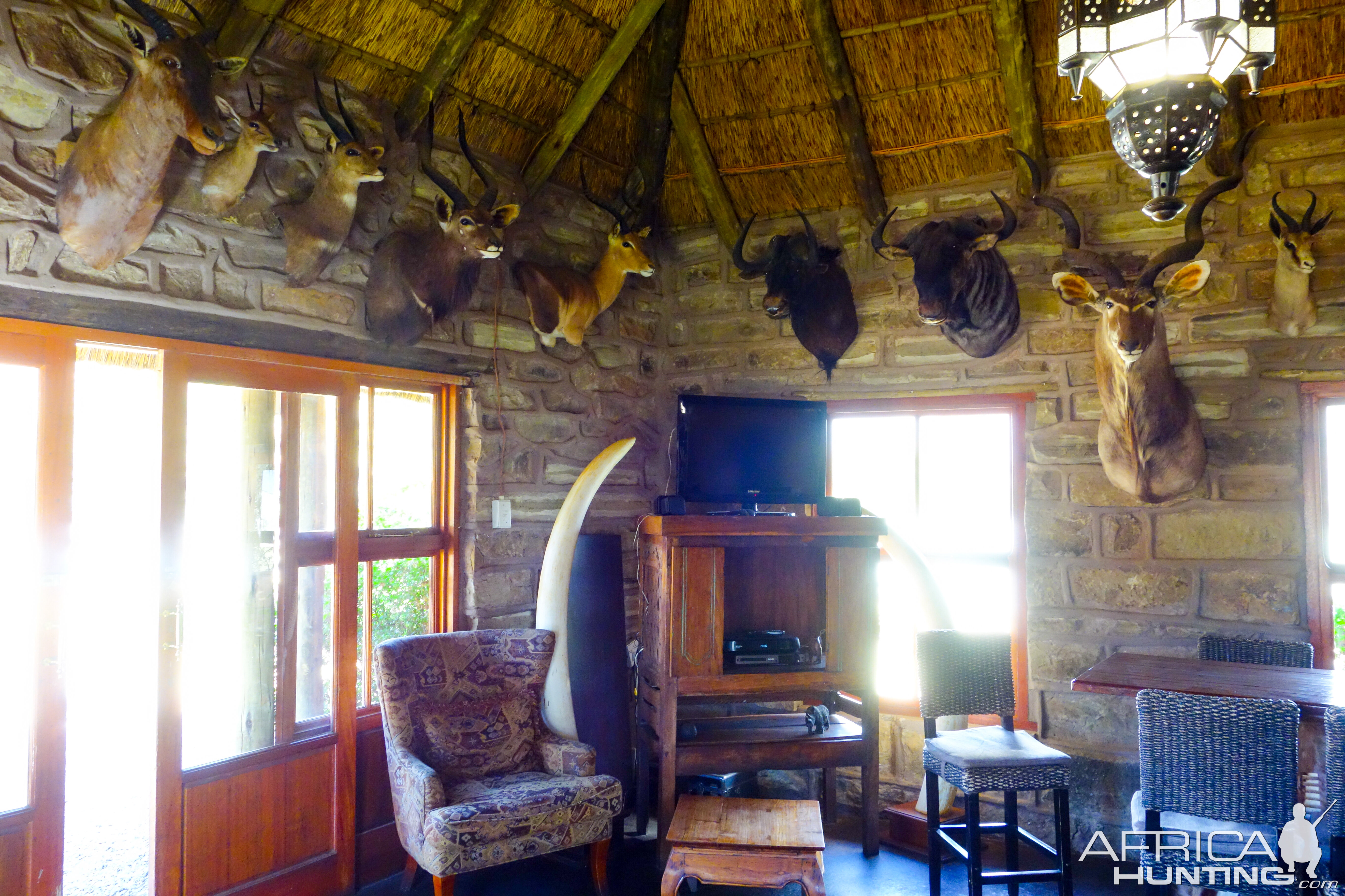 Hunting Lodge in South Africa