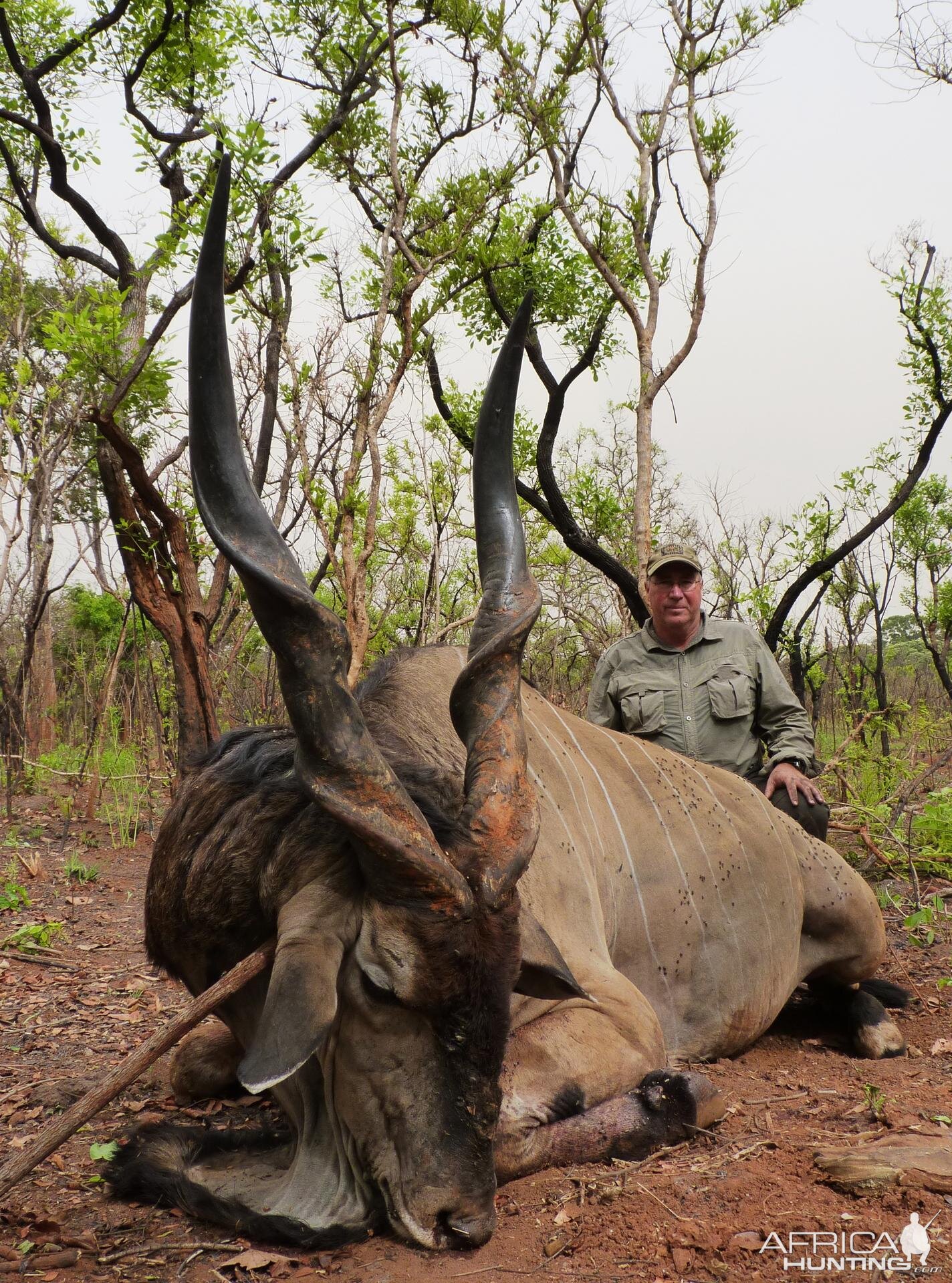 Hunting Lord Derby Eland in CAR