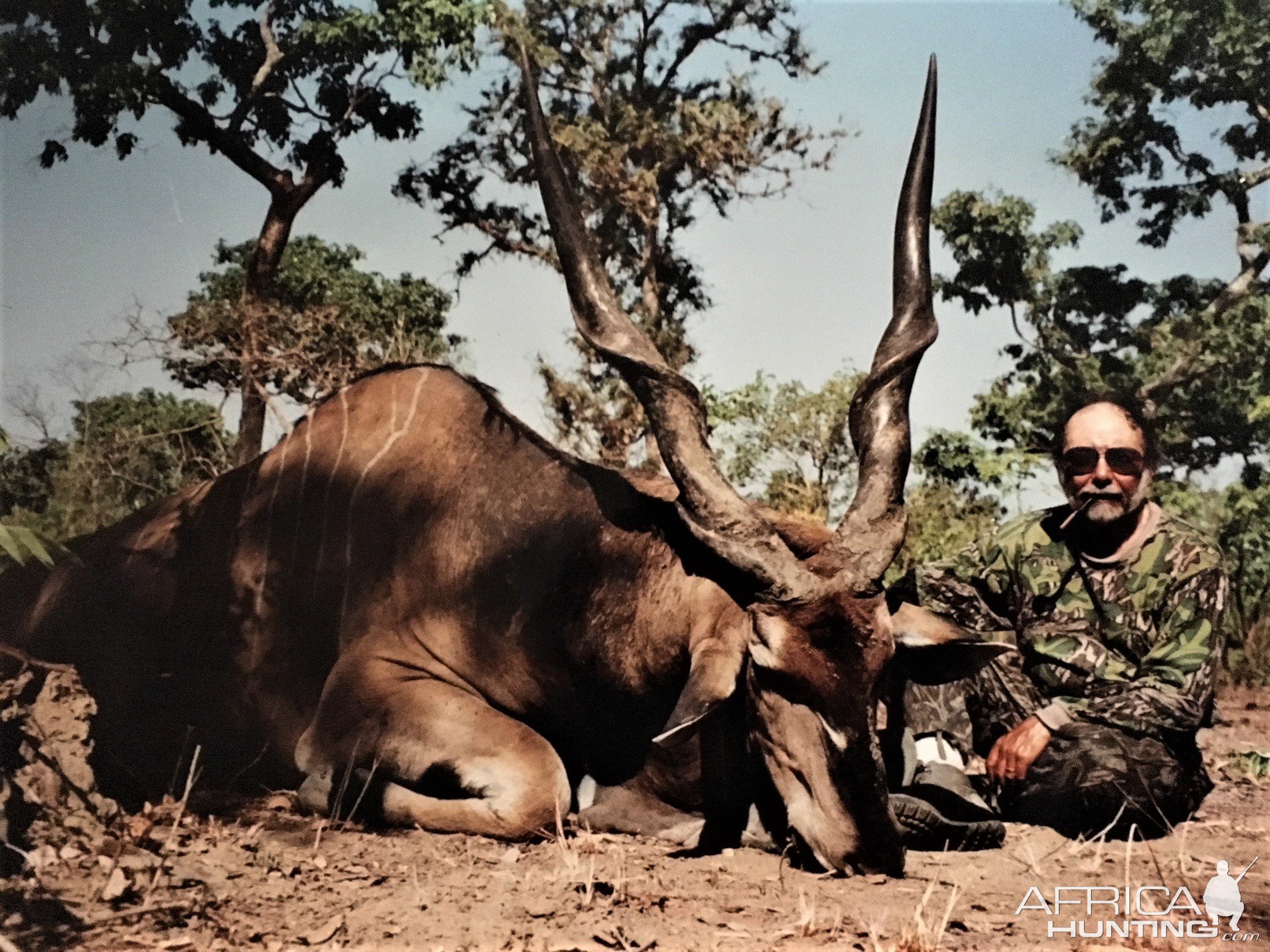 Hunting Lord Derby Eland in Central African Republic