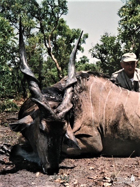 Hunting Lord Derby Eland in Central African Republic