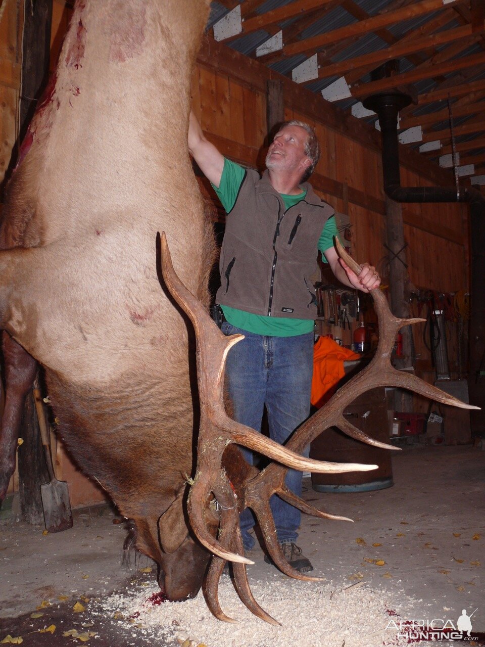 Hunting Manitoban Subspecies Elk in Canada