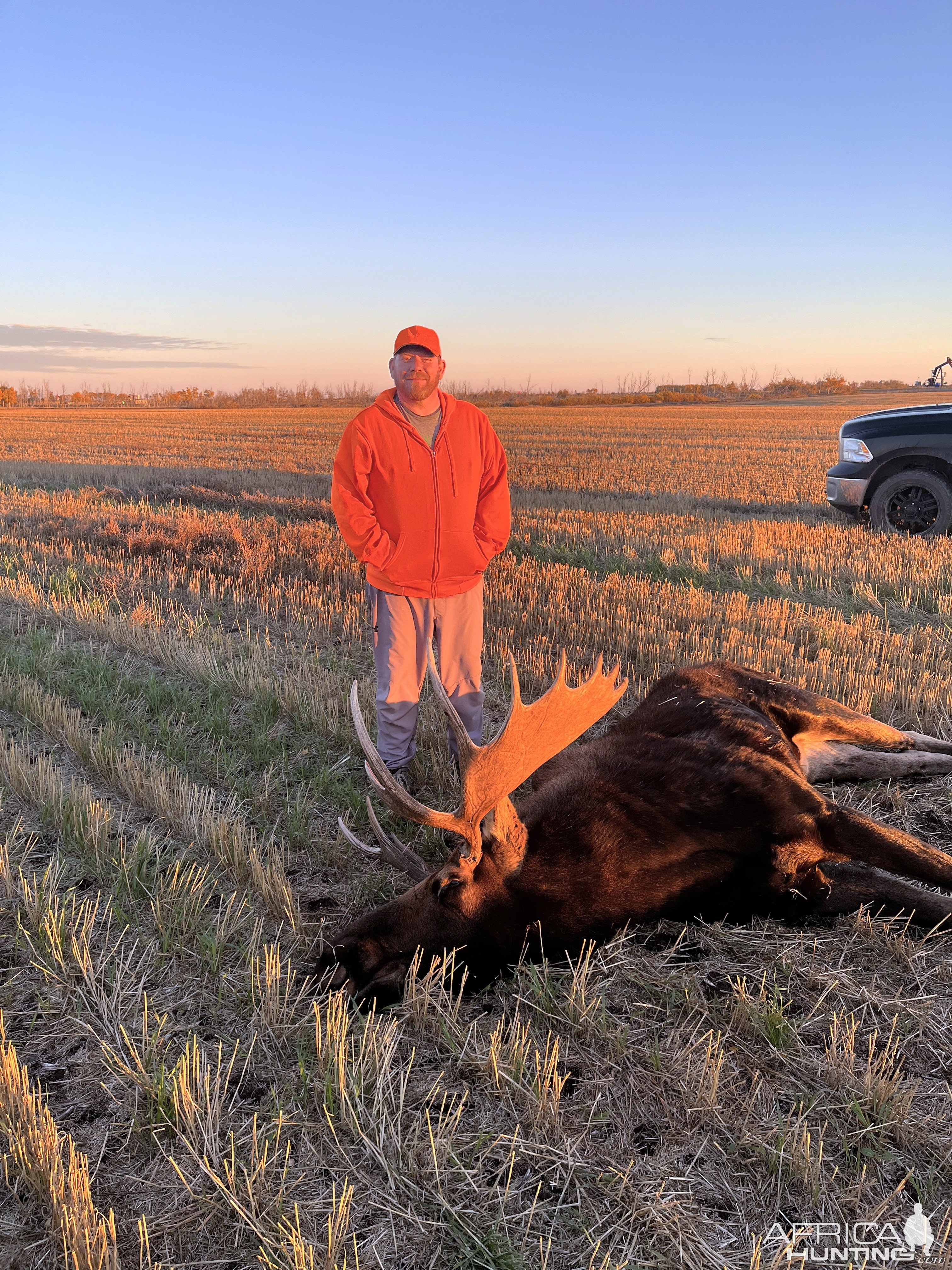 Hunting Moose Canada