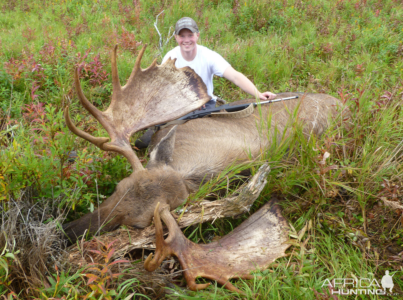 Hunting Moose