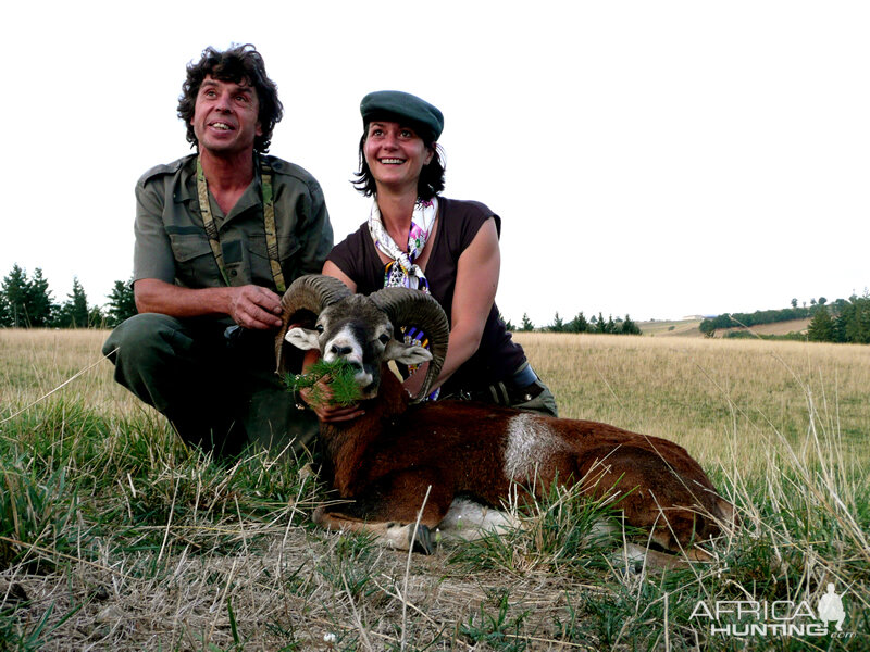 Hunting Mouflon France